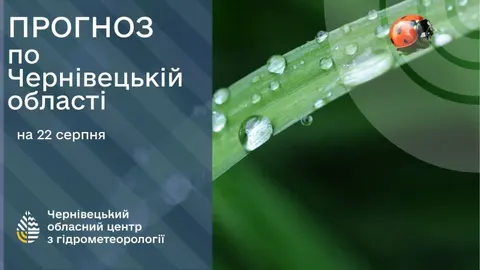 Музика, ляльки та свобода: як Чернівці святкуватимуть День Незалежності