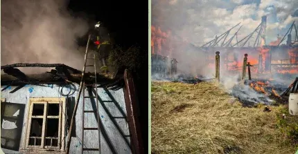 Буковинський вечір: орган, джаз і ляльки напередодні Дня Незалежності