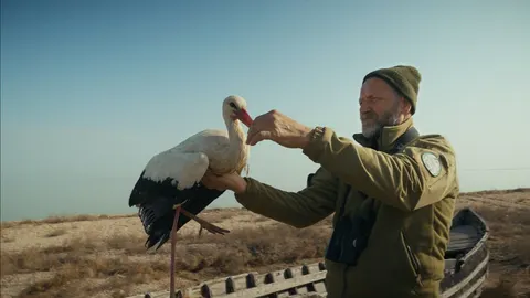ОМКФ-2026: 13 фільмів, які варто побачити від ретроспективи Буковського до нової стрічки Васяновича