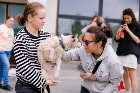 У Києві на ВДНГ пройде фестиваль адопції тварин Adopt Cat & Dog